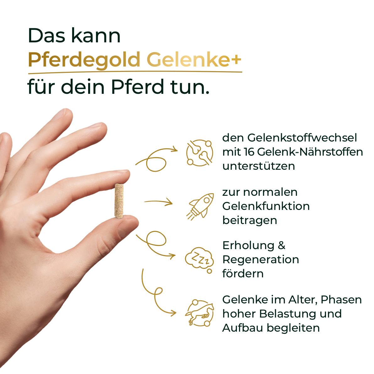 Hand hält Kapsel; daneben Text: Pferdegold Gelenke+ unterstützt und fördert gesunde Gelenke bei Pferden. Ideal für jedes Pferd, das Wert auf starke Gelenke legt.