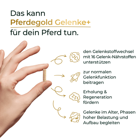 Eine Hand hält eine Tablette; daneben werden in Text und Symbolen die Vorteile von Pferdegold® Gelenke+ Nachfüllpackung 3für2 für Pferde dargestellt.