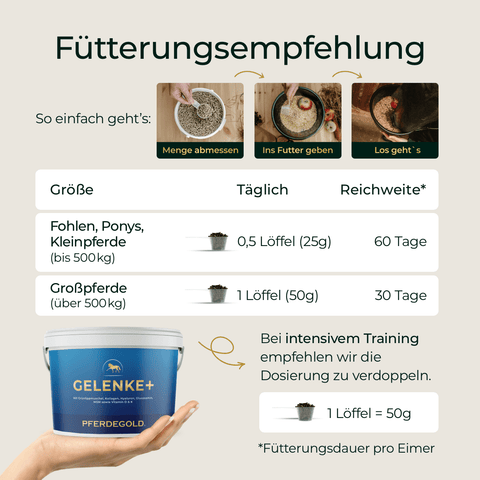 Fütterungshinweise, Dosierungstabelle, Abbildung des Behälters und Illustrationen zur Verwendung von 3 für 2 - Gelenke+ von Pferdegold® - Ihr kompletter Leitfaden zur Unterstützung der Gelenke Ihres Pferdes mit hochwertigen Ergänzungsfuttermitteln.