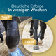 Am ersten Tag ist das Bein des Pferdes geschwollen; am 14. Tag, nach unterstützender Behandlung einschließlich geeigneter Beinbandagen und einer mit „Pferdegold Gelenke 1.0“ und Omega-3 angereicherten Ernährung, hat sich die Schwellung sichtbar verringert, was zu einer Verbesserung der allgemeinen Mobilität beiträgt.