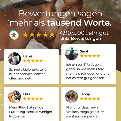Zwei Pferde schnüffeln im Freien aneinander und verkörpern damit den Geist von Mobilität und Wohlbefinden – über vier Fünf-Sterne-Kundenbewertungen für das Gelenkpräparat „Gelenke 1.0“ von Pferdegold.
