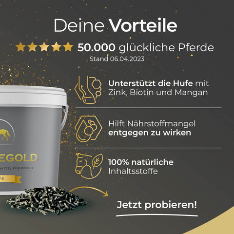 Ein Eimer Pferdegold® Hufe 15 % Pferdefutter mit einem Text, der die natürlichen Inhaltsstoffe wie Biotin und Zink hervorhebt. Das Futter wurde speziell entwickelt, um die Regeneration der Hufe zu unterstützen und für starke, gesunde Hufe zu sorgen.