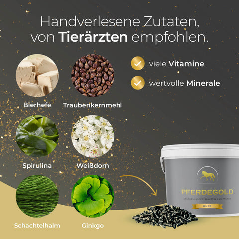Erleben Sie ganzheitliche Hufpflege mit Pferdegold® Hufe 15 % – einem Nahrungsergänzungsmittel für Pferde, das aus sechs natürlichen Inhaltsstoffen hergestellt wird, darunter eine spezielle „Hufe Regeneration“-Mischung. Das Produkt wird in einem praktischen Eimer angeboten und verfügt über ein detailliertes Nährstoffprofil, in dem wichtige Elemente wie Zink und Biotin aufgeführt sind – alles vor einem leuchtend grünen Hintergrund.