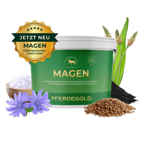 Das Ergänzungsfuttermittel Pferdegold Magen besteht aus Kräutern und Leinsamen sowie einer Jetzt Neu Goldplakette auf weißem Hintergrund - perfekt für die Unterstützung eines gesunden Pferdemagens.