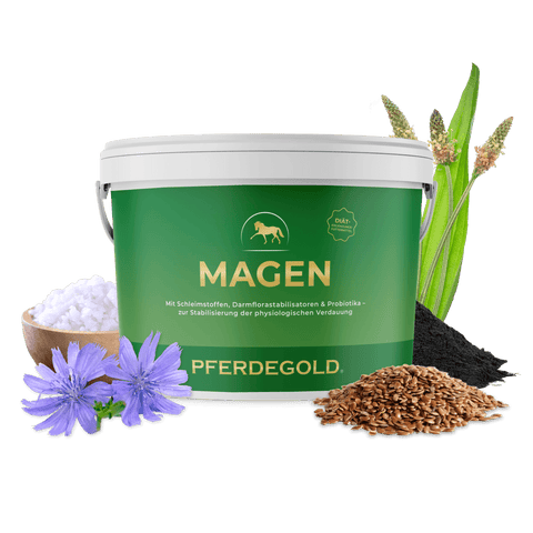 Die „Pferdegold Magen“-Dose mit einem Pferdesymbol, umgeben von Leinsamen, Blüten, schwarzem Pulver und weißen Körnchen, ist die perfekte Wahl, um die Verdauungsgesundheit Ihres Pferdes zu unterstützen.
