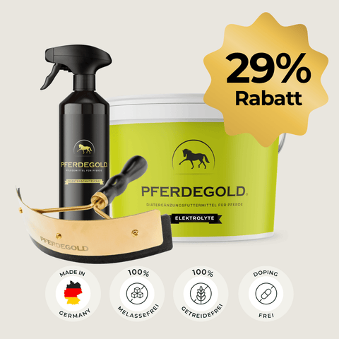 Pferdegold® Sommer Trio Pferdeergänzungsset mit Spray, Behälter, Bürste, Insektenschutzspray Pferd, und einer 29% Rabattmarke. Die Produktsymbole werden unten angezeigt.