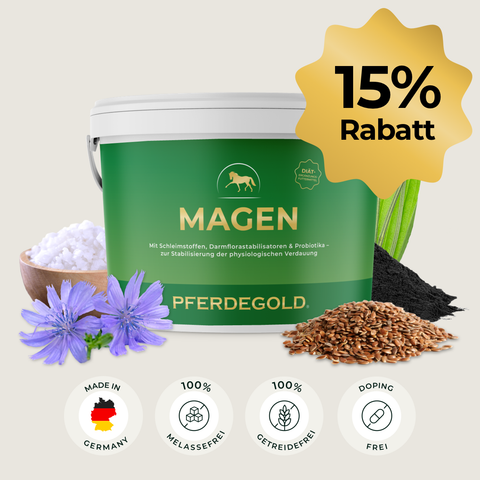 Auf dem grünen Pferdegold® Magen 15 % Becher sind Blumen, Angaben zu den Inhaltsstoffen, Probiotika für Verdauungsstörungen und eine 15% Rabatt-Starburst abgebildet.