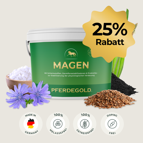 Die Pferdegold® Magen 25% Wanne enthält natürliche Inhaltsstoffe und Darmflorastabilisatoren für die Darmgesundheit, mit einem goldenen Stern, der einen Rabatt von 25% hervorhebt.