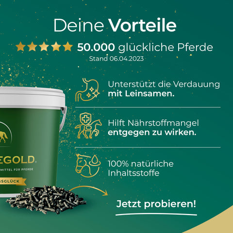 Pferdegold® Verdauungsglück - Doppelpack 35%