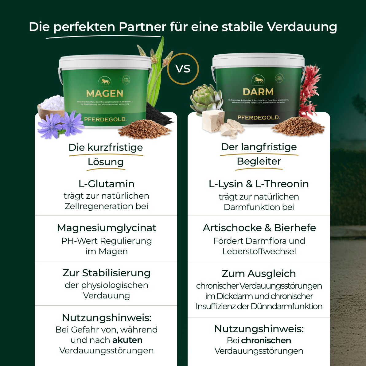 Zwei Ergänzungsdosen mit der Aufschrift Magen von Pferdegold, mit Inhaltsstoffliste und Verdauungsvorteilen für Pferde in deutscher Sprache. Ideal als Ergänzungsfuttermittel für Pferde, insbesondere für die Gesundheit des Pferdemagens, zur Unterstützung des Wohlbefindens Ihres Pferdes.