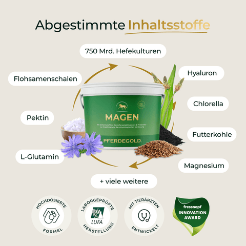 Behälter von Pferdegold Magenergänzung für Pferde, mit illustrierten Inhaltsstoffen und Text, der die wichtigsten Bestandteile für die Gesundheit des Pferdemagens beschreibt.