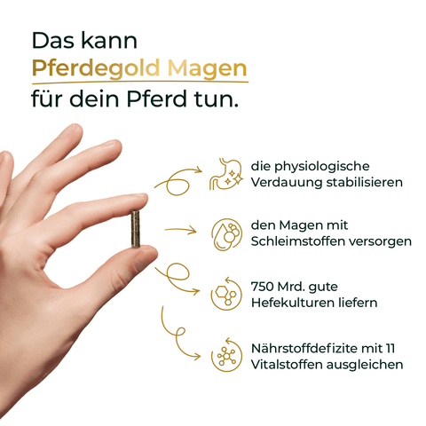 Hand hält Tablette; Text listet Vorteile für den Pferdemagen auf: bessere Verdauung, mehr Nährstoffe, 750 Mrd. Hefekulturen - das Pferdegold Magen Supplement für gesunde Pferde.