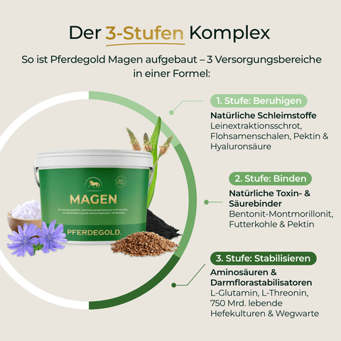 Die grün-weiße, von Kräutern umgebene Wanne von Pferdegold Magen präsentiert seine 3-Stufen-Formel - das perfekte Pferde Supplement zur Unterstützung der Verdauungsgesundheit Ihres Pferdes.