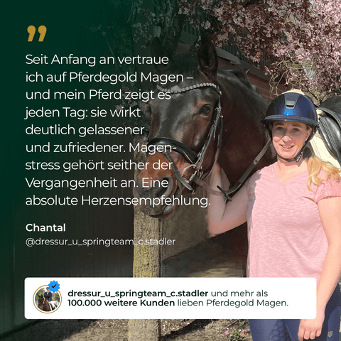 Eine lächelnde Frau in Reitkleidung steht an einem sonnigen Tag neben einem dunkelbraunen Pferd und hält dessen Zügel fest - bereit, die Gesundheit ihres Pferdes mit Pferdegold Magen zu unterstützen.