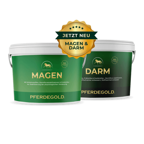Zwei grüne Pferdegold®-Behälter mit der Aufschrift "Magen-Darm Kur" und einer goldenen "JETZT NEU"-Plakette darüber.