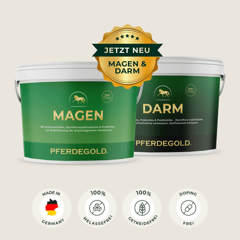 Zwei grüne Wannen mit der Aufschrift Pferdegold® Magen-Darm Kur für Pferde, mit den unten aufgeführten Produktvorteilen und Qualitätssymbolen.
