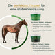 Schematische Darstellung eines Pferdes mit Verdauungsorganen, zwei Pferdegold® Magen-Darm-Kur-Behälter und ein deutscher Text zur Verdauungsförderung.