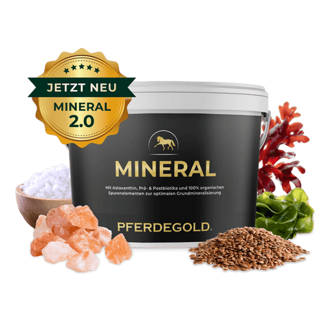 Der schwarze Pferdegold Mineral 2.0-Behälter mit natürlichen Inhaltsstoffen und grünem "Jetzt Neu"-Schriftzug bietet eine hochwertige Mineralstoffversorgung für das Wohlbefinden Ihres Pferdes.