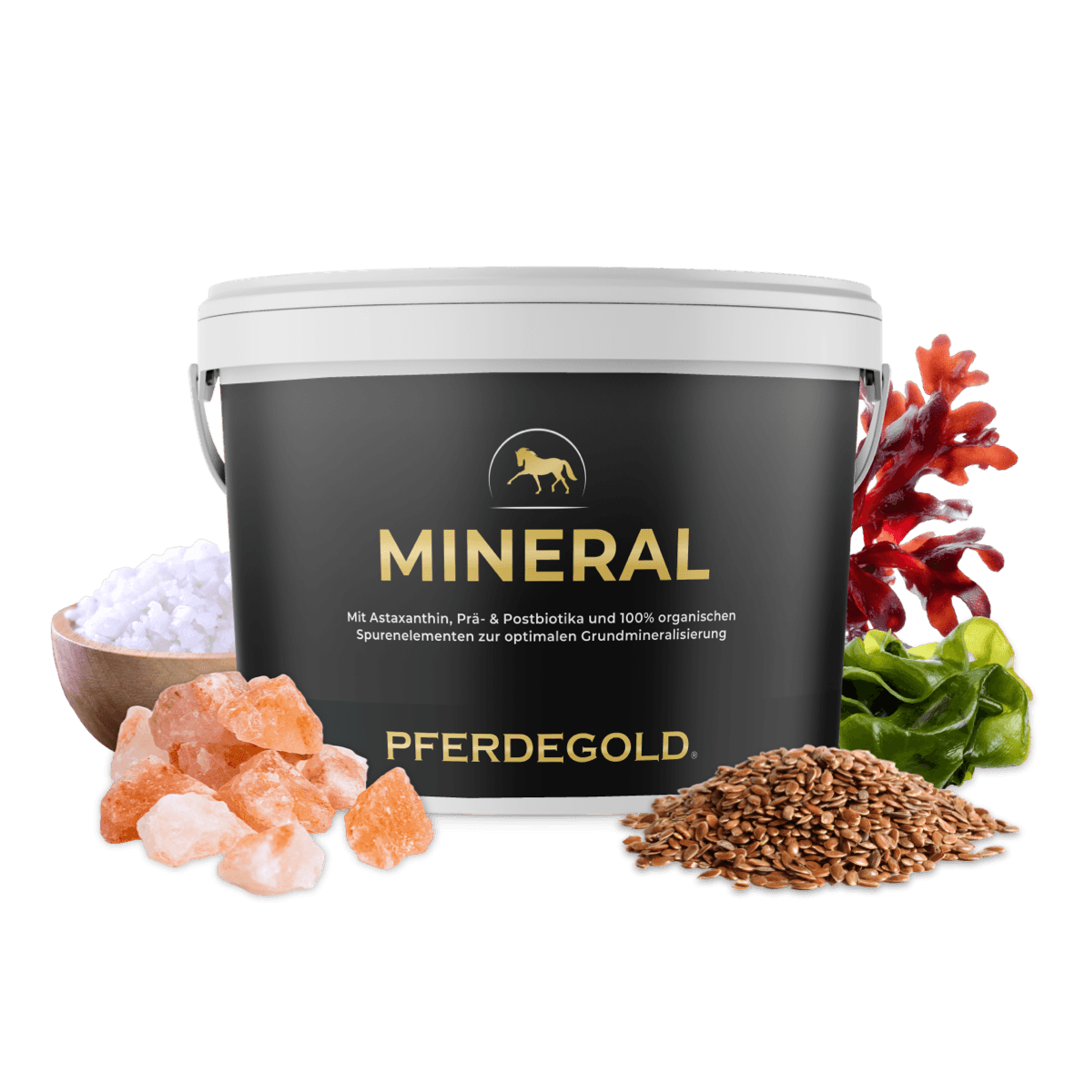 Ein schwarzer „Pferdegold Mineral 2.0“-Eimer wird präsentiert, vor dem Salz, Samen, grüne Blätter und Rotalgen angeordnet sind, um dieses unverzichtbare Mineralfutter für Pferde für eine optimale Pferdeernährung hervorzuheben.