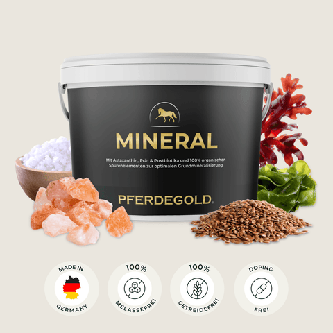 Ein schwarzer Eimer mit der Aufschrift „Mineral 2.0“ von Pferdegold, umgeben von natürlichen Mineral- und Pflanzeninhaltsstoffen – dieses Produkt eignet sich ideal als Mineralfutter für Pferde und liefert wichtige Nährstoffe, wie sie in Premium-Mischungen wie Pferdegold Mineral enthalten sind.