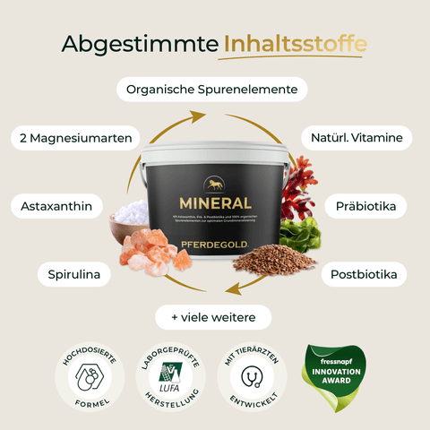 Das Ergänzungsfuttermittel Pferdegold Mineral 2.0 hebt die natürlichen Inhaltsstoffe und Vorteile hervor und unterstreicht damit seine Qualität als hochwertiges Mineralfutter für Pferde.