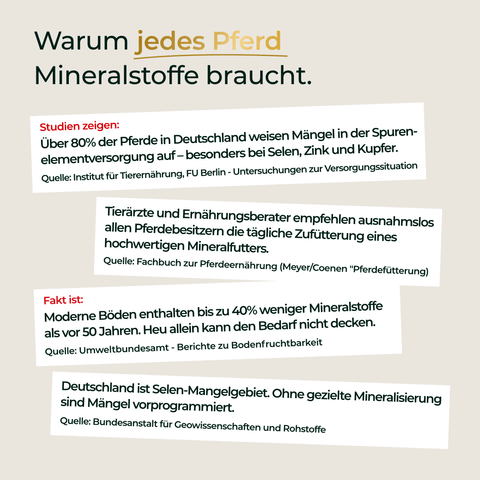 Deutsche Infografik über die Bedeutung von Mineralstoffzusätzen für Pferde, mit Fakten und Quellenangaben. Als empfohlenes Produkt wird der „Pferdegold® Mineral Nachfüller 3für2“ hervorgehoben.