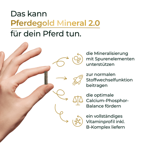 Hand hält Tablette; daneben stehen die Vorteile von Mineral 2.0 von Pferdegold, dem hochwertigen Mineralfutter für Pferde, zur Unterstützung der Gesundheit Ihres Pferdes.