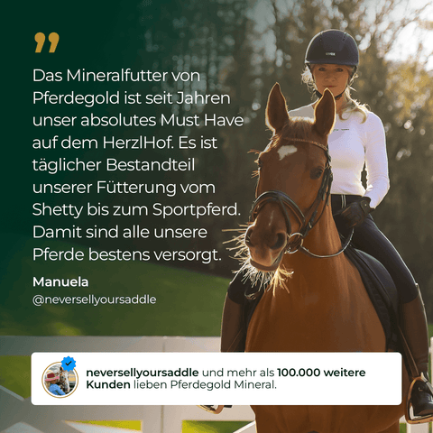 Eine Frau mit Reithelm sitzt auf einem braunen Pferd auf einer sonnigen Wiese, daneben ein Testimonial-Text über Pferdegold Mineral 2.0 als hochwertiges Mineralfutter.