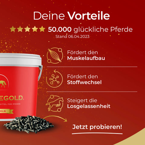 Pferdegold® Muskeln 25% Rabatt