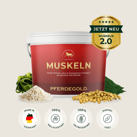 Pferdegold Muskeln 2.0 Ergänzungsbecher, mit Inhaltsstoffen und Zertifizierungssymbolen. Mit der Aufschrift "MUSKELN 2.0 Jetzt Neu". Perfekt als Pferdefutter-Ergänzung für effektiven Muskelaufbau bei Pferden.