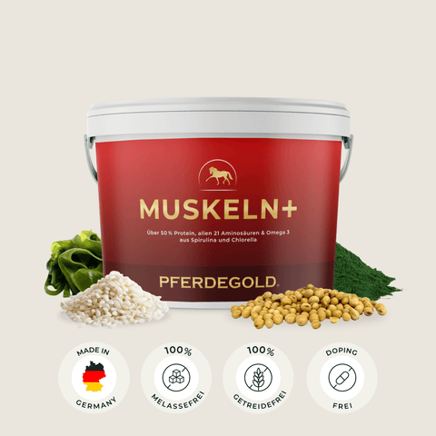 Pferdegold Muskeln 2.0 Eimer enthält Körner, Samen und Algen - ein ideales Pferdefutter zur Unterstützung des Muskelaufbaus bei Pferden. Produktsymbole siehe unten.