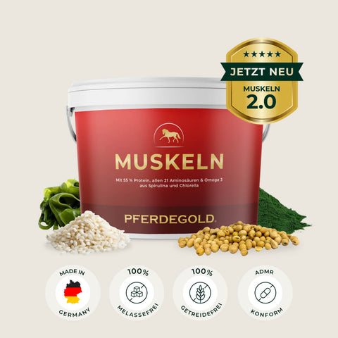 Auf einem roten Pferdegold Muskeln-Becher sind die wichtigsten Inhaltsstoffe und vier Zertifizierungssymbole abgebildet, die zur Unterstützung des Muskelaufbaus bei Pferden entwickelt wurden.