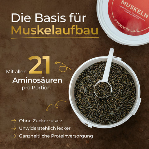 Offener Eimer mit Pellets, Messlöffel und Deckel: Muskeln 2.0 von Pferdegold® - das ideale Pferdefutter für gezielten Muskelaufbau. Jetzt 50% auf den 2. Eimer sichern und nachhaltige Stärke fördern!.