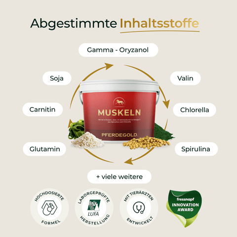 Roter Becher mit der Aufschrift Muskeln 2.0 von Pferdegold, abgebildet mit ergänzenden Inhaltsstoffen, Leistungssymbolen und grüner Plakette - perfekt für Pferdefutter und Pferde Muskelaufbau mit der bewährten Pferdegold Formel.