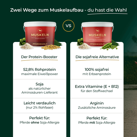 Zwei Proteinpulver im Vergleich: Protein-Booster mit 52,8 % Eiweiß vs. Muskeln 2.0 von Pferdegold - 100 % sojafreies Erbsenprotein, ideal fürs Pferdefutter und gezielten Muskelaufbau bei Pferden.