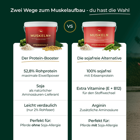 Vergleich von zwei Pferdefutter-Produkten: Pferdegold® Muskeln+ Nachfüllpack 3kg (mit Soja) und eine sojafreie Alternative im direkten Überblick.