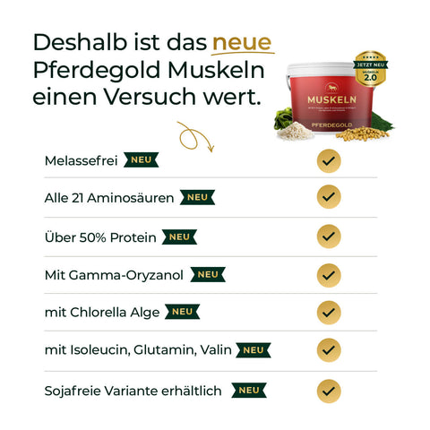 ✓ Pferdegold Muskeln 2.0 - für optimalen Muskelaufbau beim Pferd. Unterstützt gezielt die Muskulatur und sorgt für sichtbare Ergebnisse. Ideal für Training und Regeneration - jetzt mit Produktbild!.