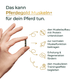 Eine Hand hält eine Kapsel, daneben Icons und Text zu Vorteilen von Pferdegold Muskeln 2.0 - das optimale Ergänzungsfutter für gezielten Muskelaufbau bei Pferden.