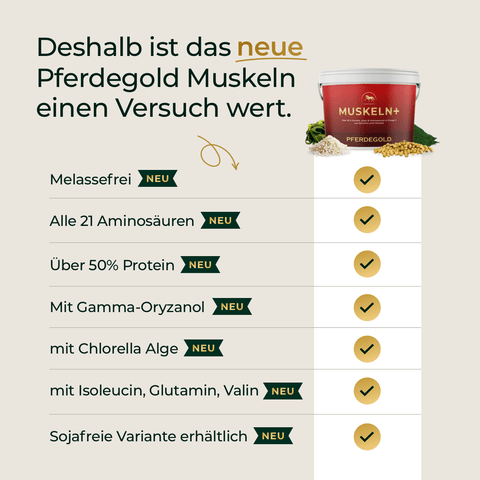 Infografik zum Muskeln+ Nachfüllpack 3 kg von Pferdegold® mit Vorteilen wie 21 Aminosäuren, hohem Proteinanteil und sojafreier Rezeptur.