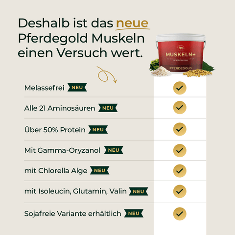 Deutscher Text zur Auflistung der Vorteile von Pferdegold® Muskeln+ Nachfüller 3für2 neben einer Dosis des Produkts und Häkchen.
