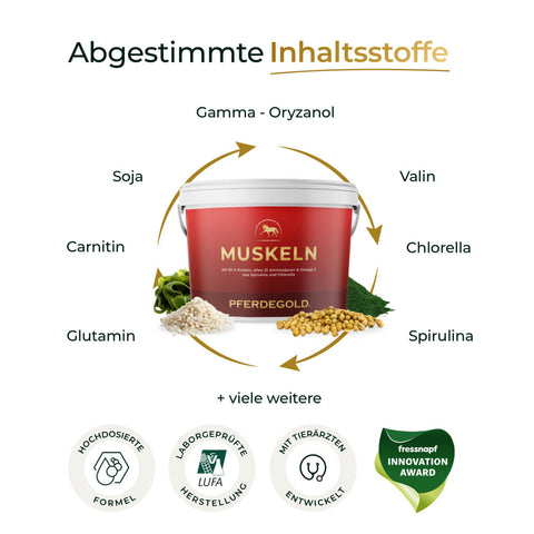 Eine rote Muskeln 2.0 Wanne von Pferdegold®, verziert mit Inhaltsstoffsymbolen und Zertifizierungsplaketten - ideal für den Muskelaufbau Pferd und Ihre Pferdefutter-Routine. Jetzt: 50% auf den 2. Eimer!.