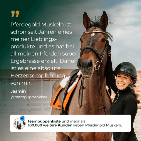 Eine lächelnde Frau in Reitkleidung steht draußen neben einem braunen Pferd. Daneben der Text zum Muskeln+ Nachfüllpack 3kg von Pferdegold®.