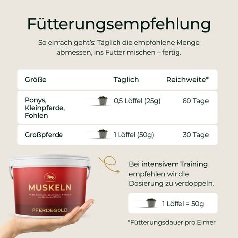 Entdecken Sie den Fütterungsratgeber für Pferdegold® Muskeln 2.0 mit einer Dosierungstabelle für Ponys und Pferde sowie Trainingstipps zur Förderung des Muskelaufbaus und zur Optimierung Ihrer Pferdefutter-Routine. Sparen Sie 50% beim 2. Eimer!.