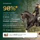 Eine Frau reitet ein schwarzes Pferd, Text hebt 98% Kundenzufriedenheit mit Pferdegold Muskeln 2.0 hervor - dem optimalen Pferdefutter für besten Muskelaufbau beim Pferd.
