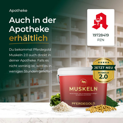 Pfrodergold® Muskeln 2.0 - jetzt 50% auf den 2. Eimer! Auch in der Apotheke erhältlich. Hochwertiges Pferdefutter für optimalen Muskelaufbau beim Pferd.