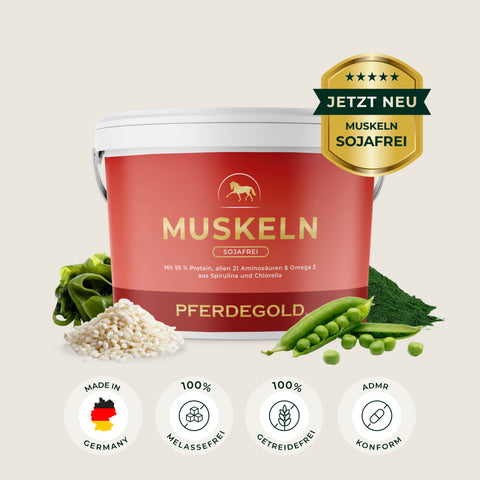 Der Muskeln 2.0 Sojafrei von Pferdegold: ein roter Ergänzungsbecher mit grünen Erbsen, Spirulina und Reis auf hellem Grund - das perfekte Pferdefutter für den gezielten Muskelaufbau bei Pferden.