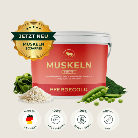 Ein roter Pferdegold Muskeln 2.0 Sojafrei-Becher mit Reis, Erbsen und Spirulina präsentiert hochwertiges sojafreies Pferdefutter für kräftige Pferdemuskeln, darunter sind Zertifizierungssymbole abgebildet.
