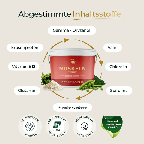 Roter Becher von Pferdegold Muskeln 2.0 Sojafrei mit Inhaltsstoffen und Vorteilen für den Muskelaufbau Pferd in deutscher Sprache um das Produkt herum aufgeführt.