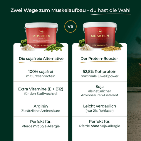 Vergleiche zwei Pferdefutter-Eimer und erfahre, warum Pferdegold Muskeln 2.0 Sojafrei als proteinreiches, sojafreies Futter die optimale Wahl für den Muskelaufbau deines Pferdes ist.