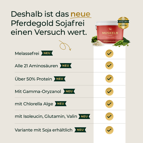 Textgrafik: Vorteile von Pferdegold Muskeln 2.0 Sojafrei - proteinreich, viele Aminosäuren, Algenzusatz und melassefrei - ideal für Muskelaufbau und gesunde Muskeln bei Pferden.